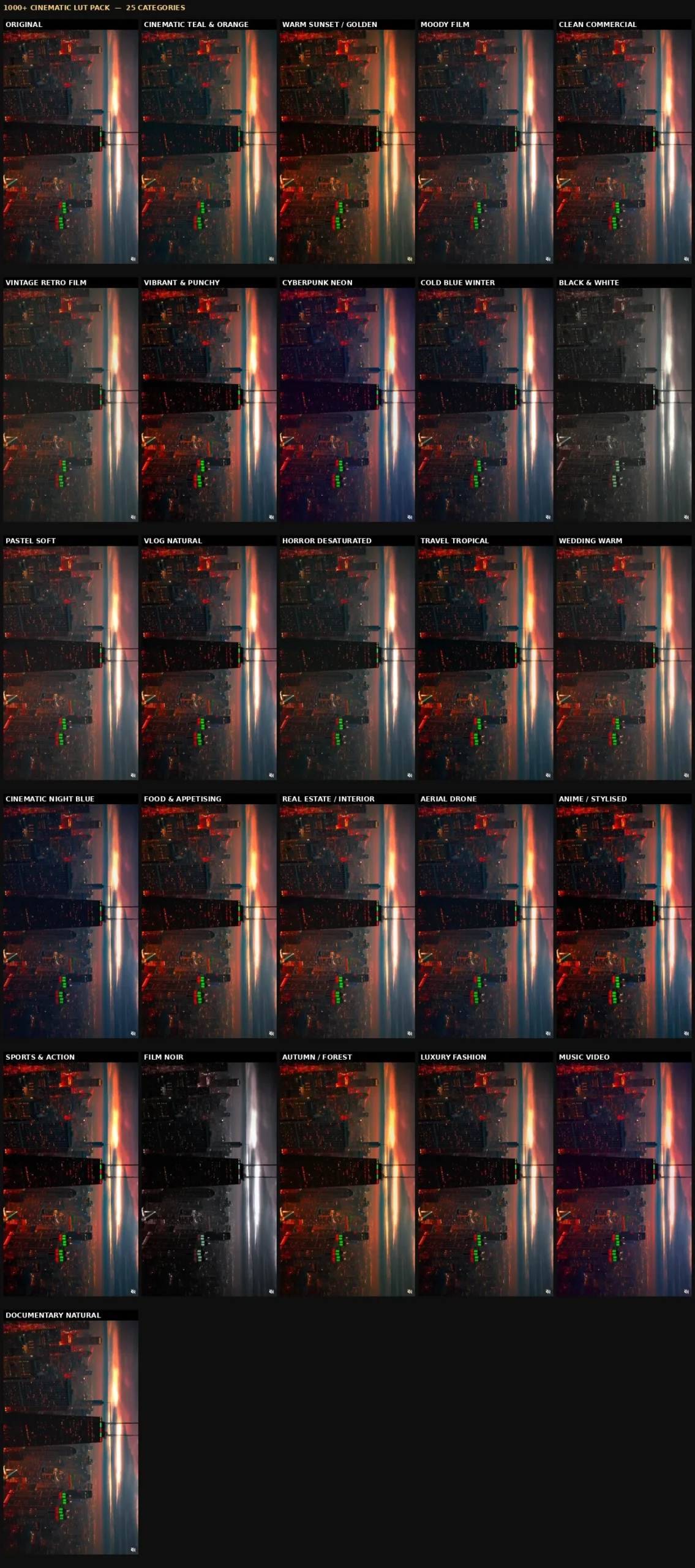 1000+ cinematic LUTs across 25 categories